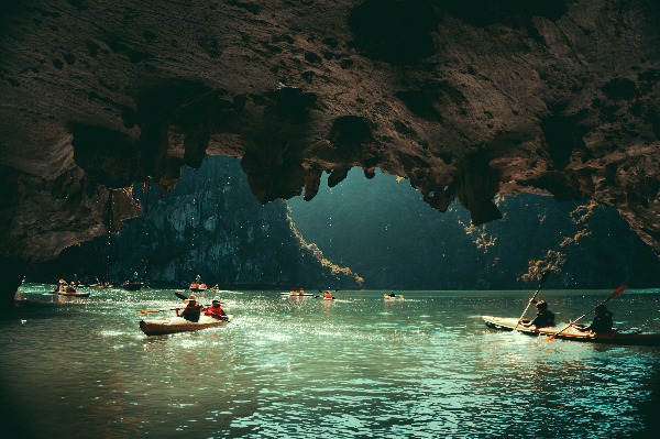 Pre-arrival form Vietnam 2026